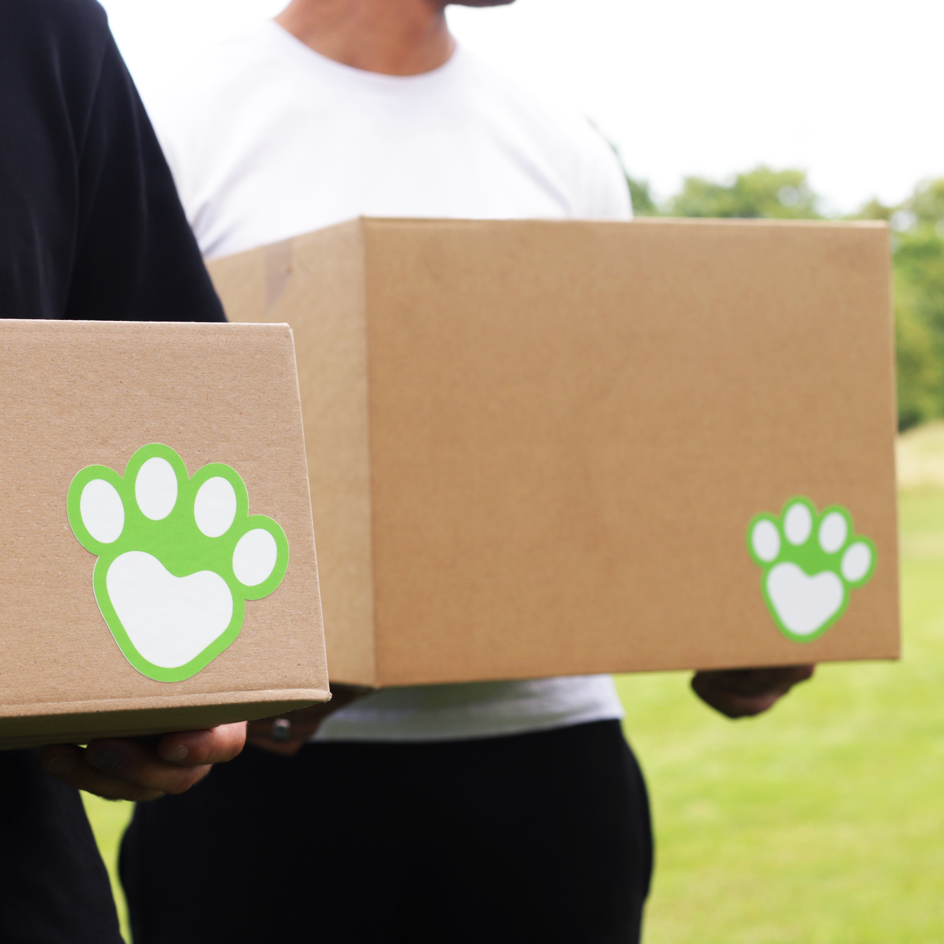 La photo de deux personnes portant des cartons avec le logo de "La Niche"